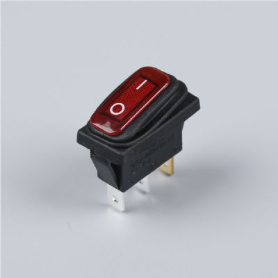 Oil immersed transformer