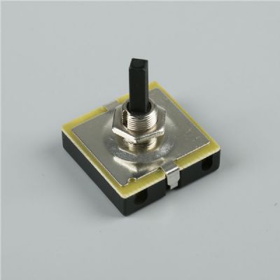 Oil immersed transformer