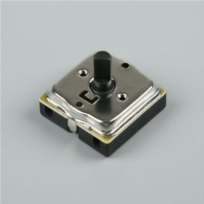 Oil immersed transformer