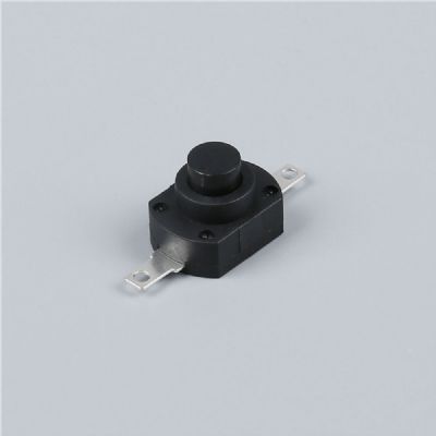 Oil immersed transformer