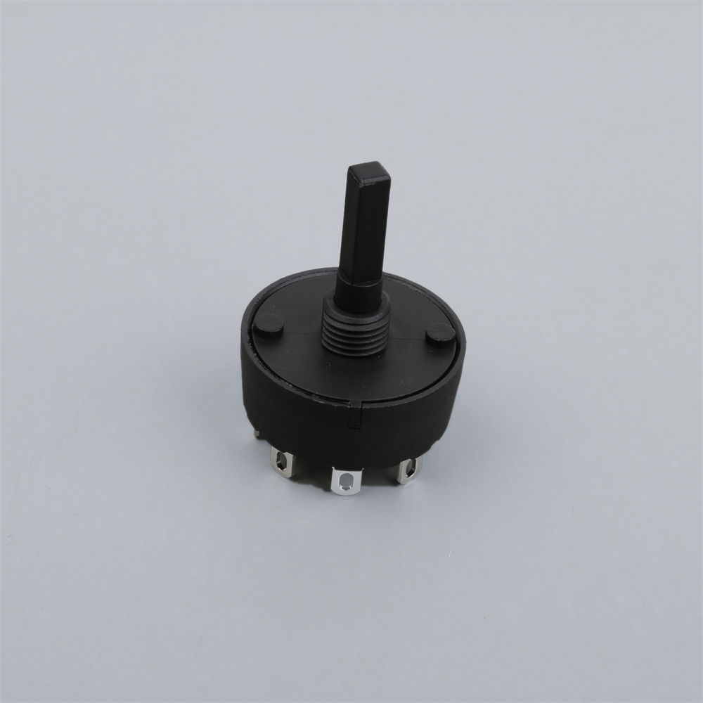 Oil immersed transformer