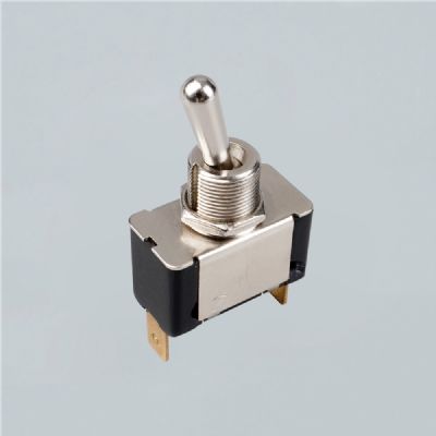 Oil immersed transformer